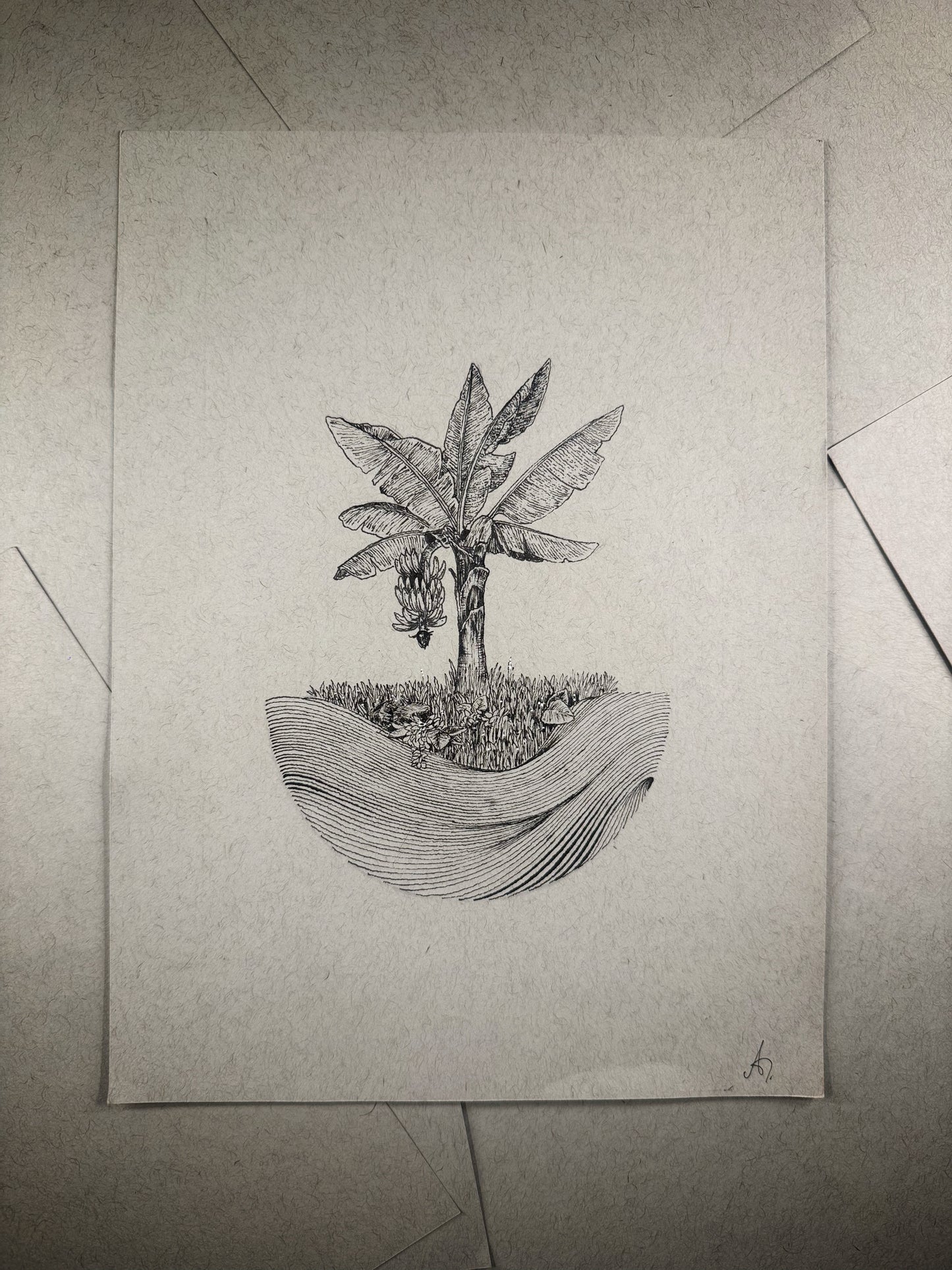 Mata de Plátano