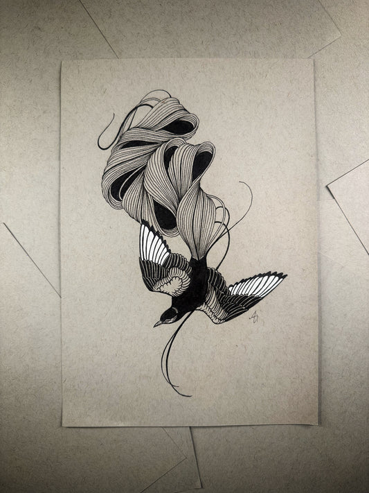 A Bird's Tail