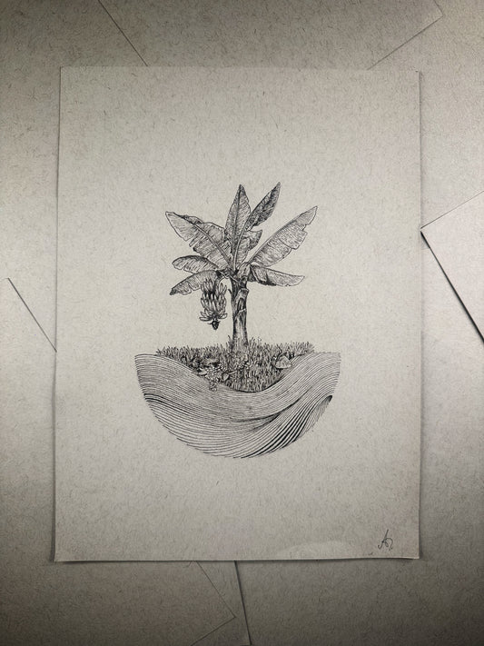 Mata de Plátano